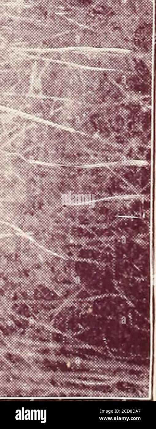 The Holman New Self Pronouncing Sunday School Teacher S Bible Containing The Old And New Testaments C C A S U R T S U H