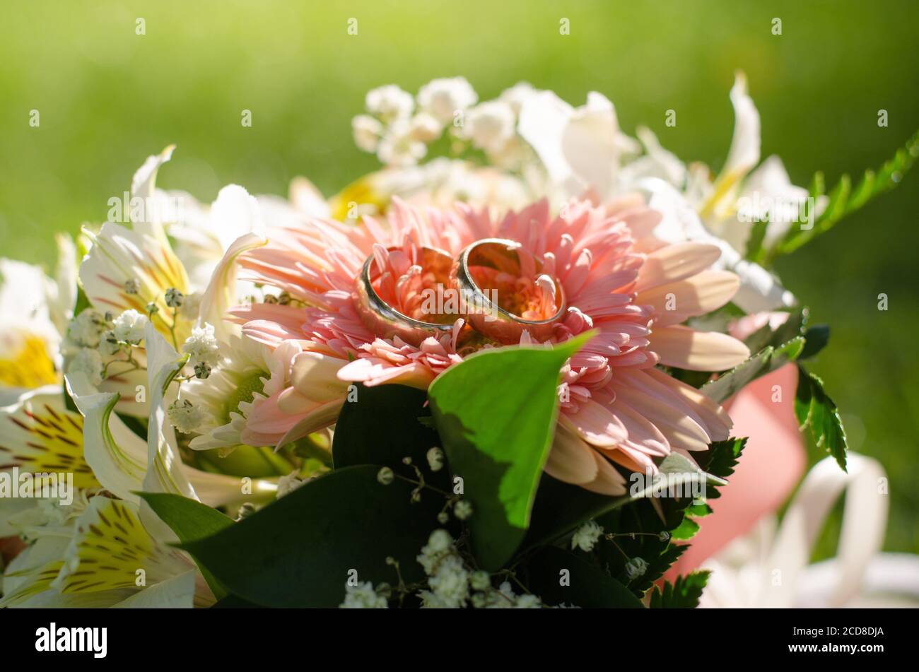 Wedding rings on pink flowers, chrysanthemum, in nature. Sunny day Stock Photo