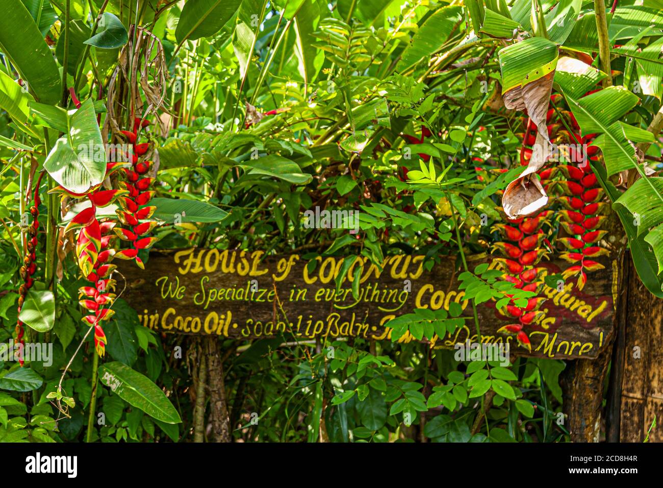 Flowers of Costa Rica Stock Photo