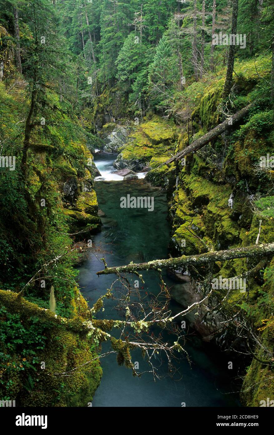 Ohanapecosh River Below Silver Falls, Mt Rainier National Park ...