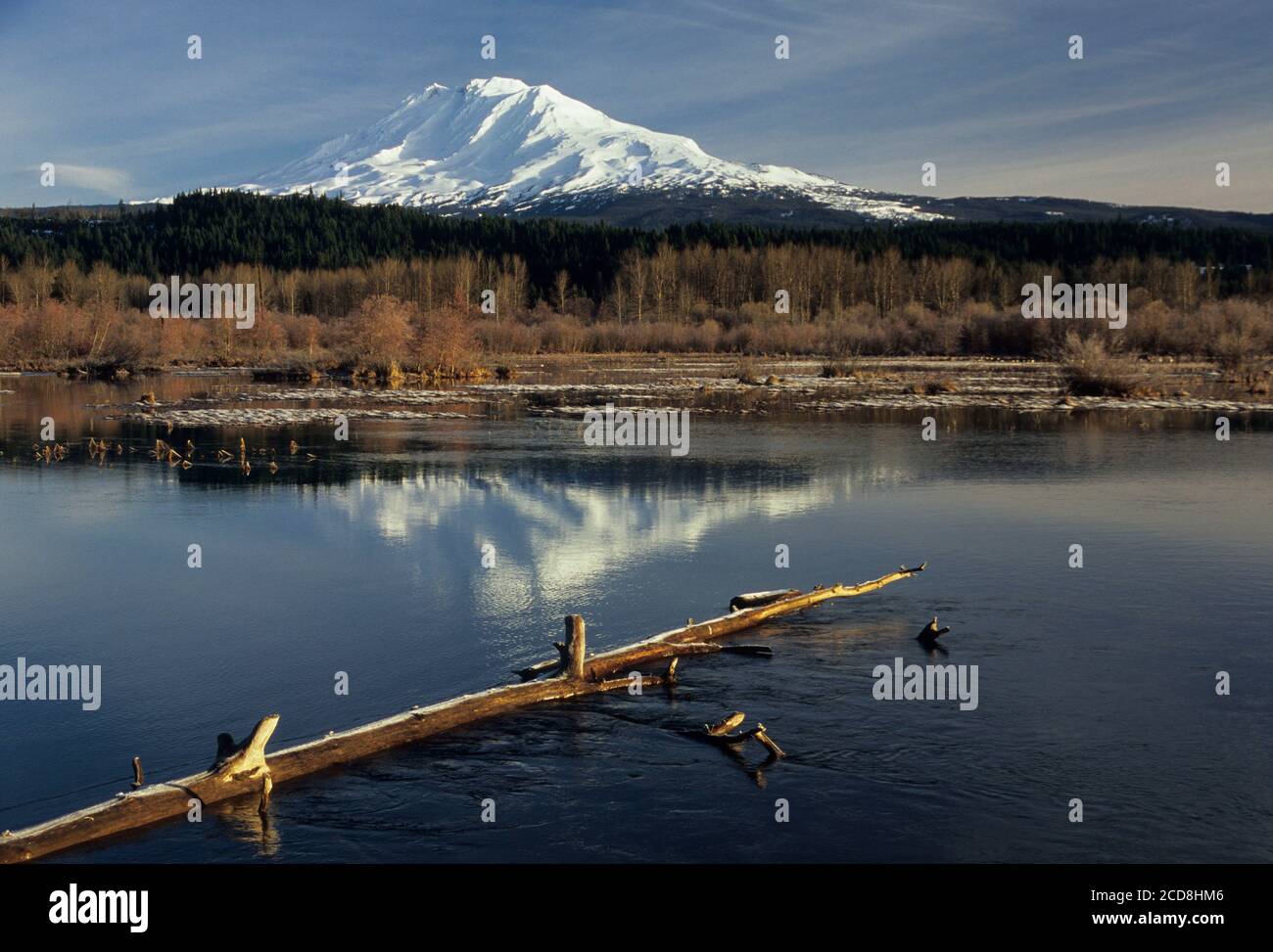 Mt Adams view, Trout Lake Natural Area Preserve, Washington Stock Photo