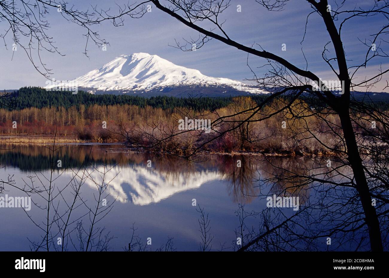 Sno-Parks and Cabin Fever in Mt. Adams & Trout Lake, Washington