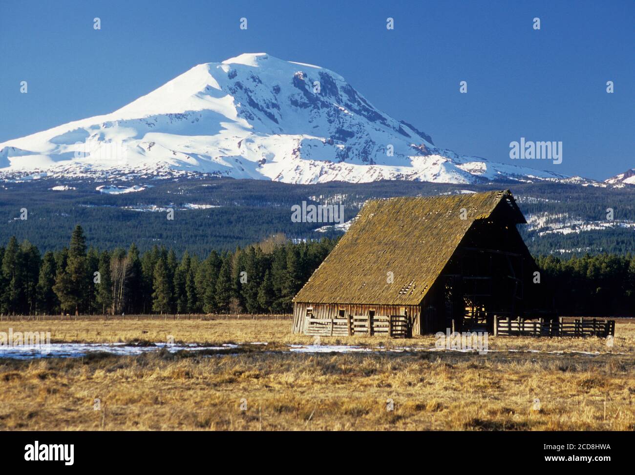 Camas Prairie barn with Mt Adams, Klickitat County, Washington Stock Photo