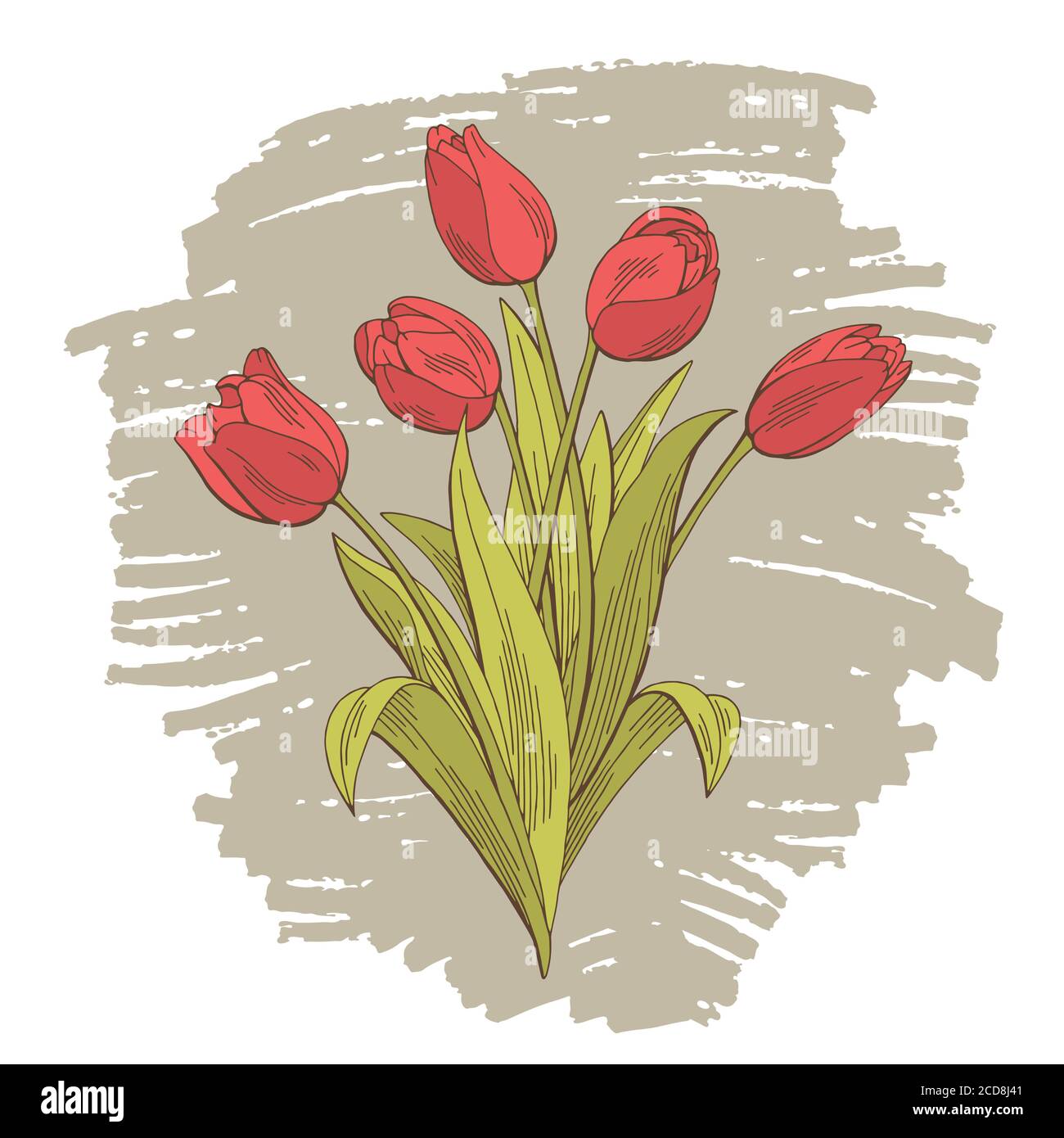 Tulip flower graphic color isolated bouquet sketch illustration vector