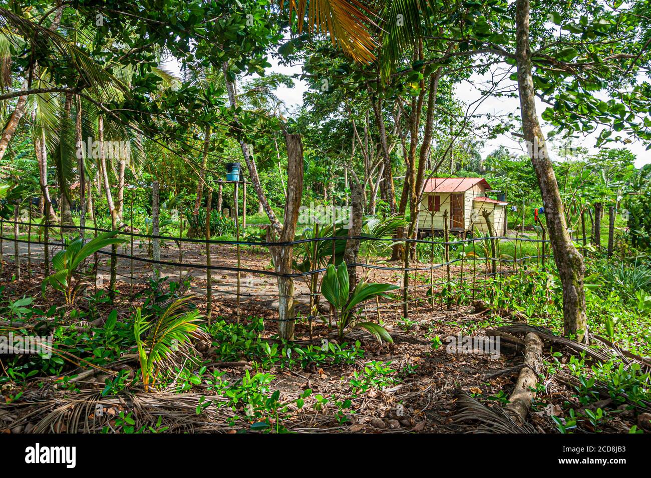 Farm in rural Costa Rica Stock Photo