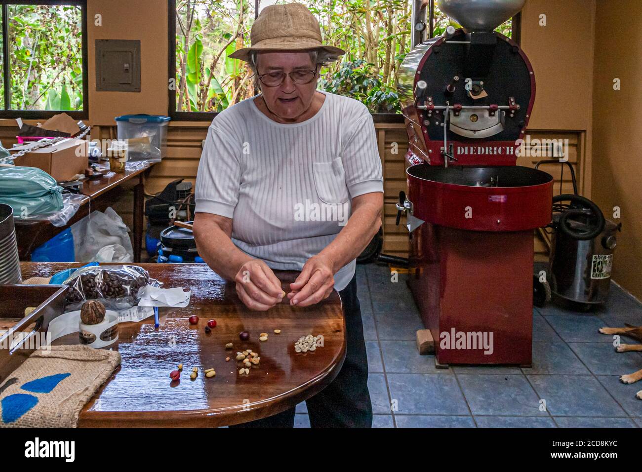 Organic coffee roaster in Costa Rica Stock Photo Alamy