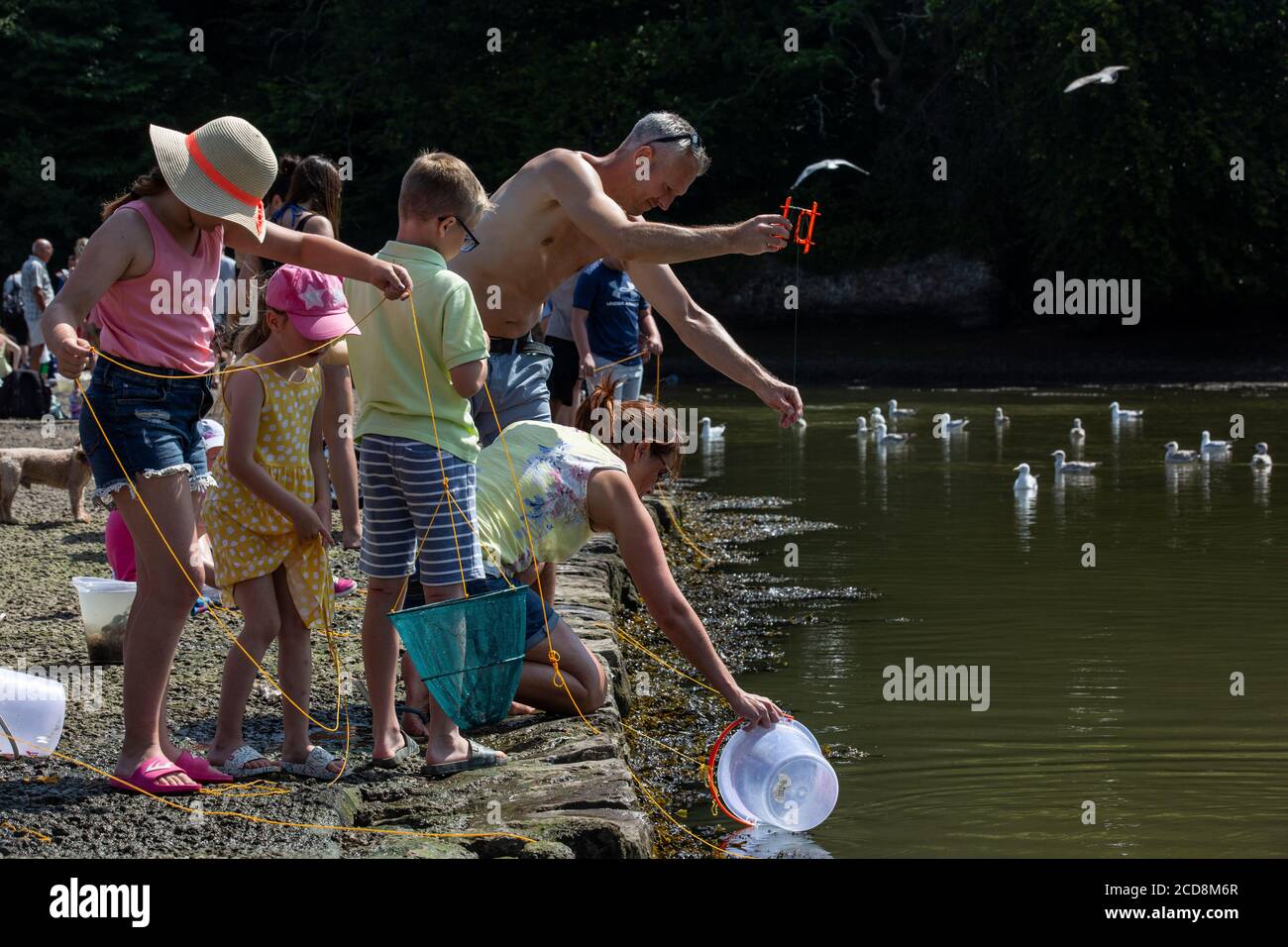 Stoke Gabriel, situated on a creek of the River Dart, popular with tourists crab fishing, South Devon, England, United Kingdom Stock Photo