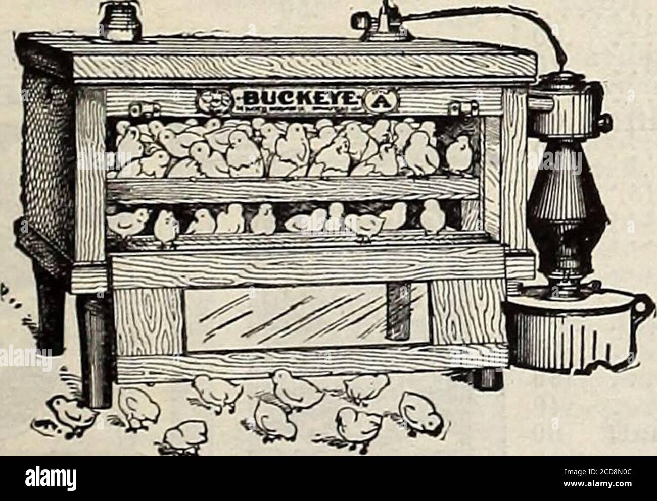 . Farm and garden annual : spring 1913 . Standard No. 3. 250 Eggs.Prices of Buekeye Standard Incubators: No. 1, Capacity 110 Eggs. No. 2, Capacity 175 Eggs. No. 3, Capacity 250 Eggs. No. 4, Capacity 350 Eggs. .$16.00. 20.00. 27.50. 35.00. Style A. 60 eggs.Complete, ready to use BUCKEYE INCUBATORS.The Standard Hot Water Incubators of the World. On the market 22 years—Over 325,000 in successful operation. Buckeye Incubators are equipped with every desirabledevice that can possibly add to incubator efficiency and theyare sold with an absolute guarantee to hatch a chick fromevery hatchable egg. Bu Stock Photo