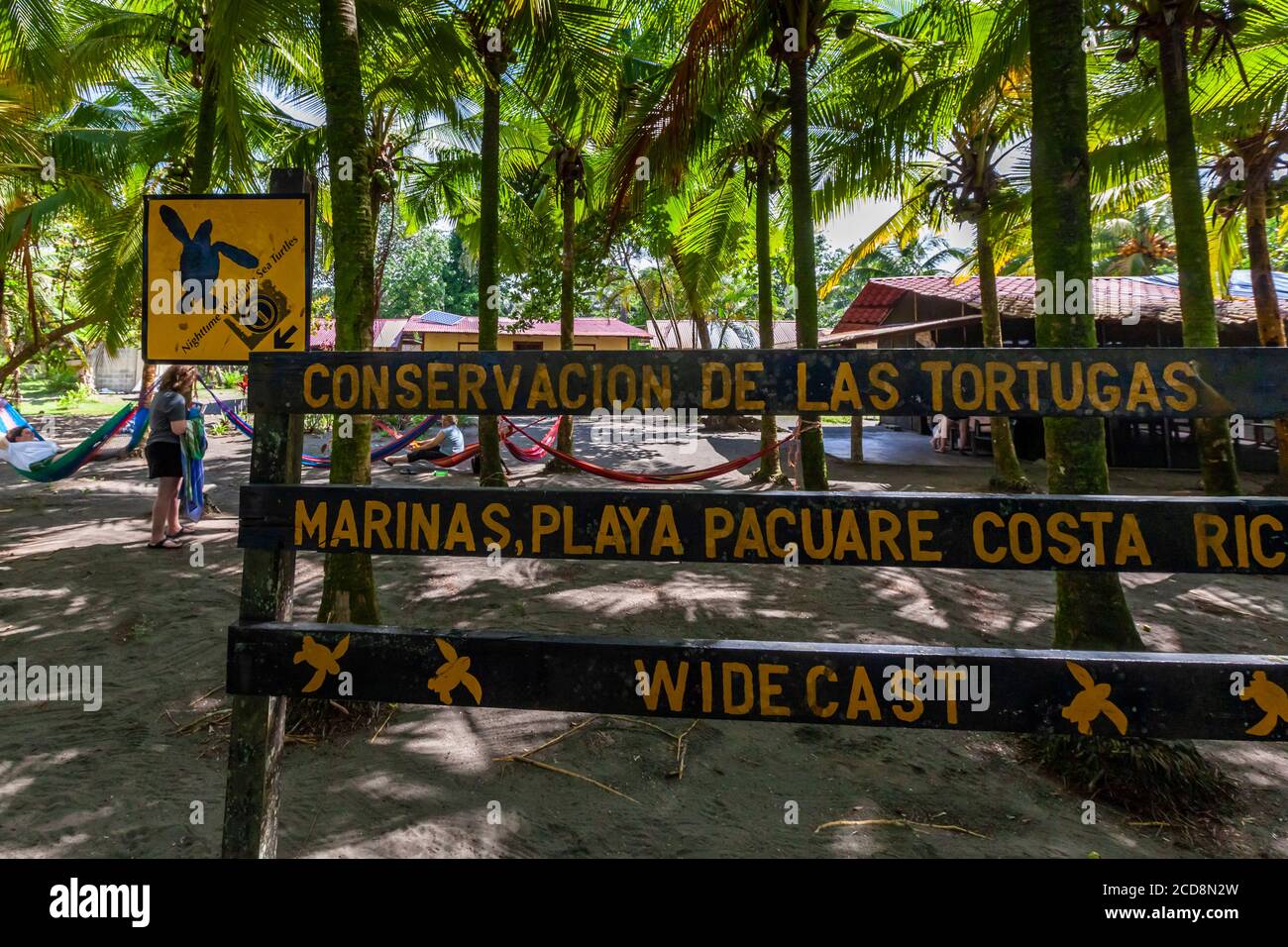 Biosphere Citizen Scientist Project Camp to save Sea Turtles in Reventazón, Costa Rica Stock Photo