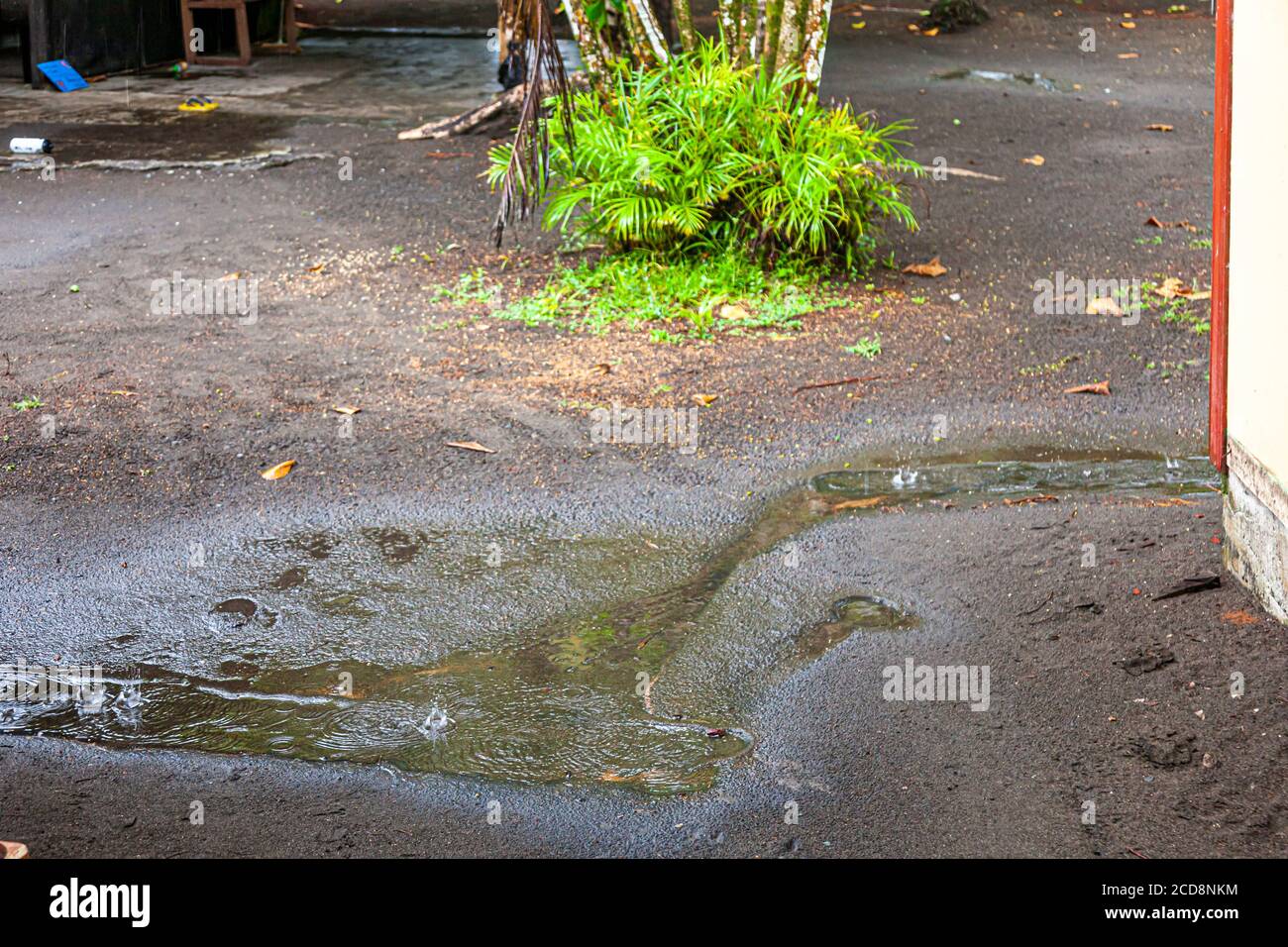 Rain in rural Costa Rica Stock Photo
