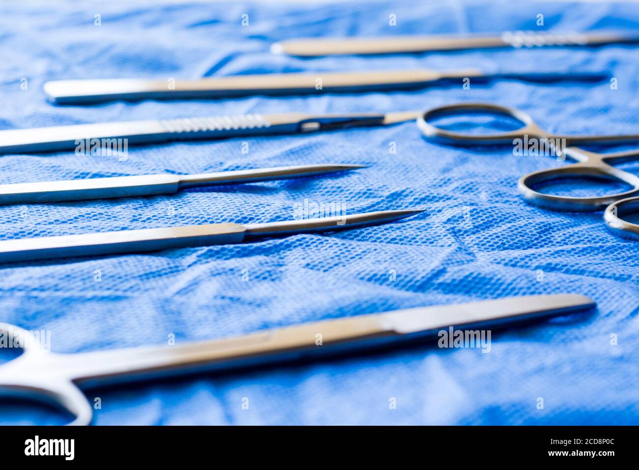 Dissection Kit - Stainless Steel Tools for Medical Students of Anatomy ...