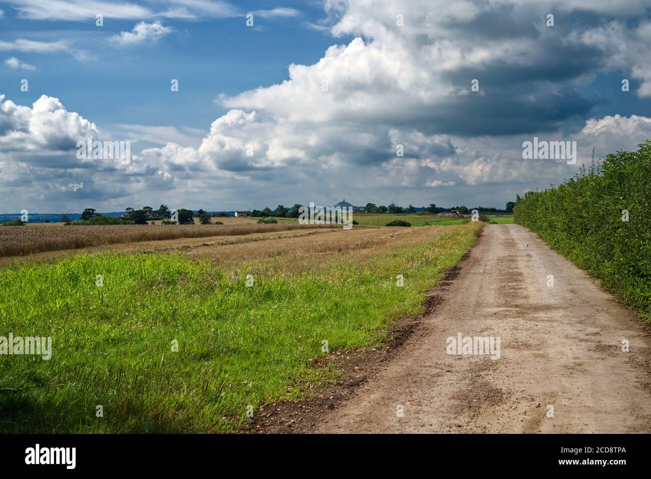Wells countryside with a view of the Glastonbury Tor on the horizon. Stock Photo