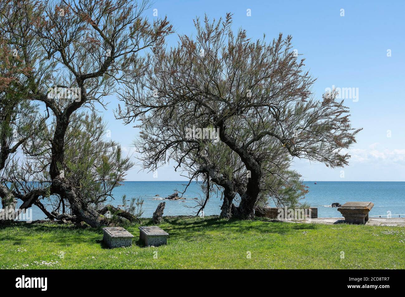 France, Manche, Saint-Vaast la Hougue, Garden of the Chapel of the sailors of Saint-Vaast-la-Hougue Stock Photo