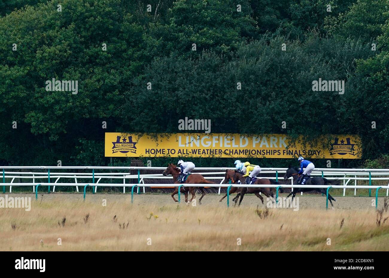 A general view of runners and riders in action as they compete in the Betway Nursery at Lingfield Park Racecourse. Stock Photo