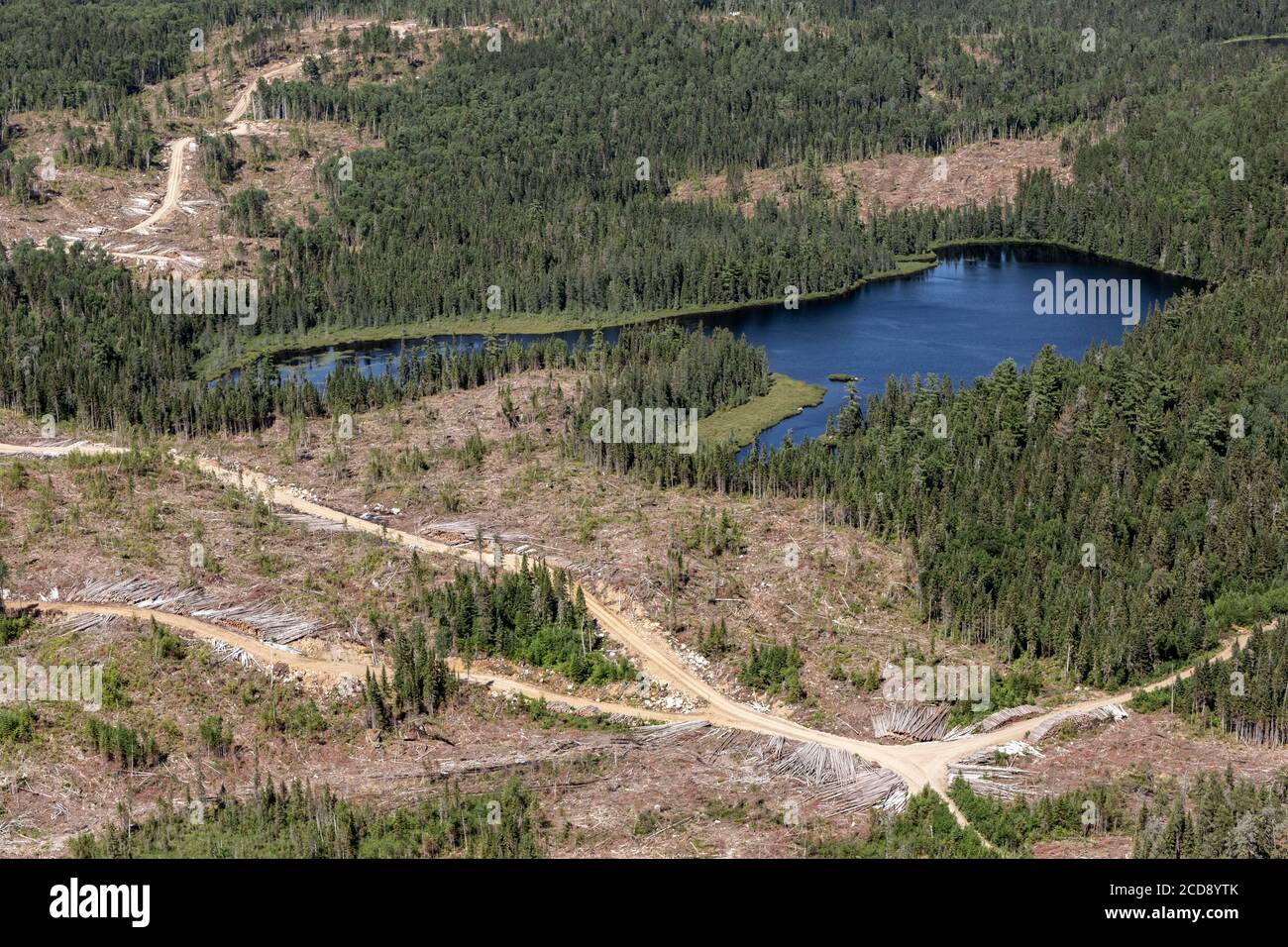 Canada, Province of Quebec, Mauricie Region, Saint-Maurice Wildlife Sanctuary north of Mauricie National Park, image of silviculture and deforestation Stock Photo