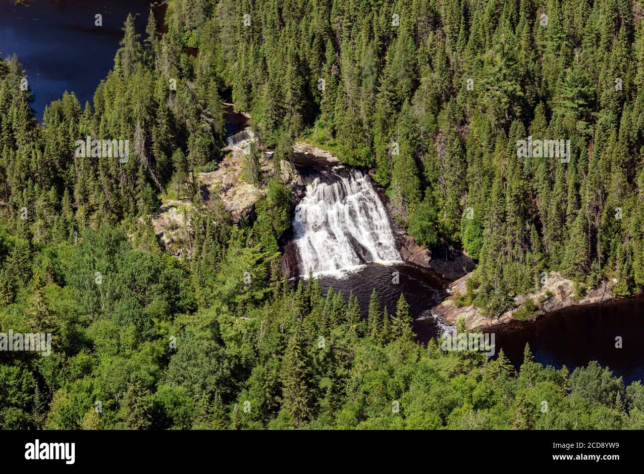Canada, Province of Quebec, Mauricie Region, Saint-Maurice Wildlife Reserve north of Mauricie National Park, Wind Falls north of Soucis Lake Stock Photo