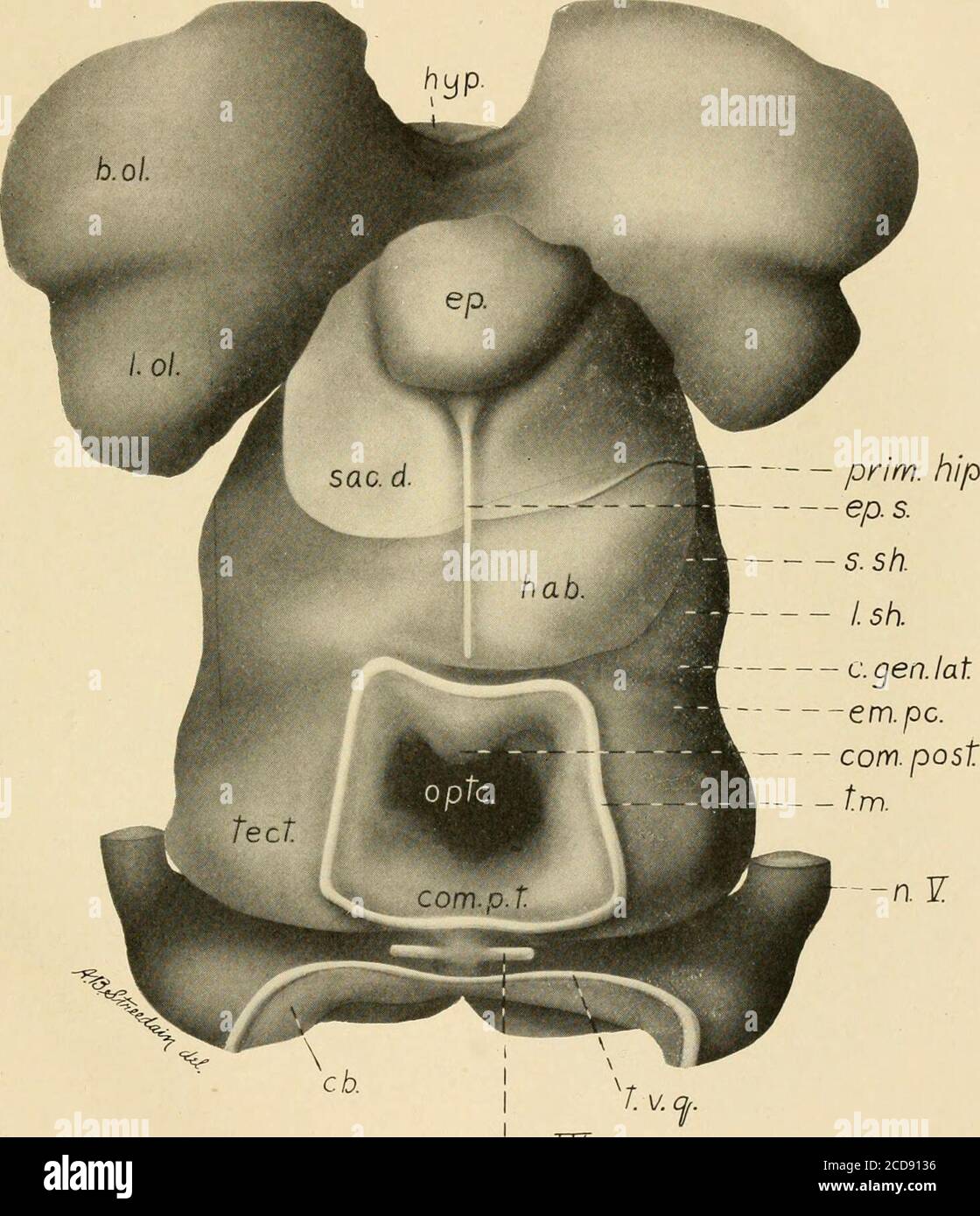 . Annals of tropical medicine and parasitology. Parasites. Annals