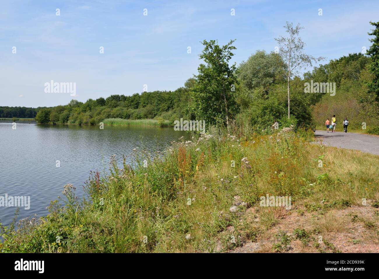 France, Nord, Raismes, three people walking on a path along the banks of the water Stock Photo
