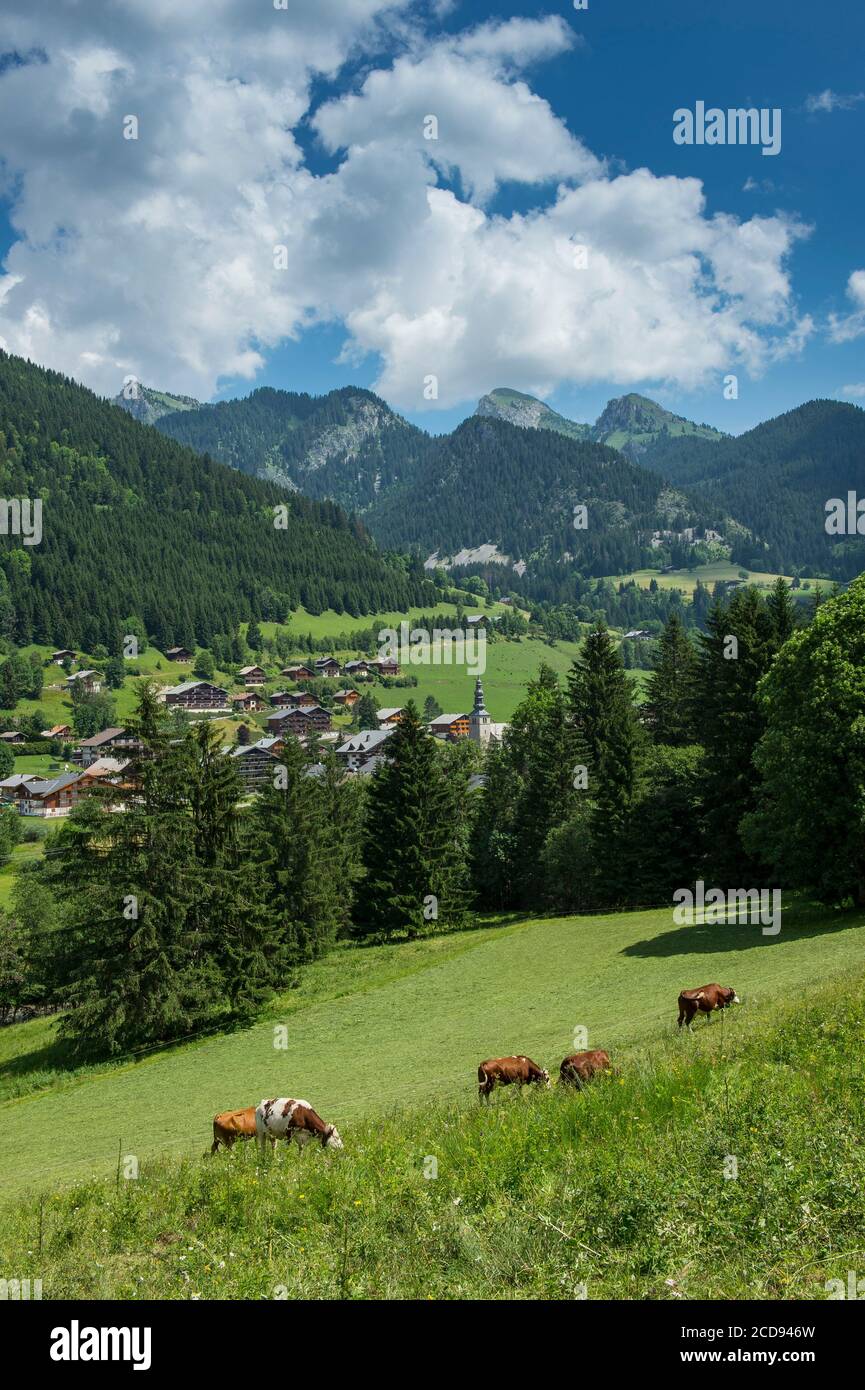 France, Haute Savoie, Chablais, Val d'Abondance, Portes du Soleil, Abondance Chapel, Abondance cow herd in front of the village and peaks of Arvouin, Linleu and Braitaz needle Stock Photo