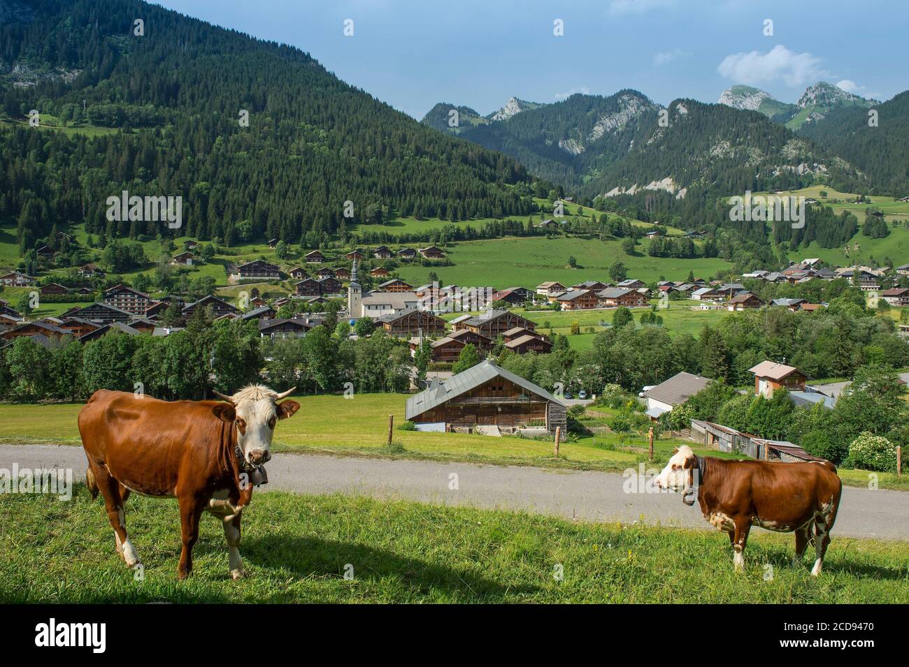 France, Haute Savoie, Chablais, Val d'Abondance, Portes du Soleil, Abondance Chapel, Abondance cow herd in front of the village and peaks of Arvouin, Linleu and Braitaz needle Stock Photo