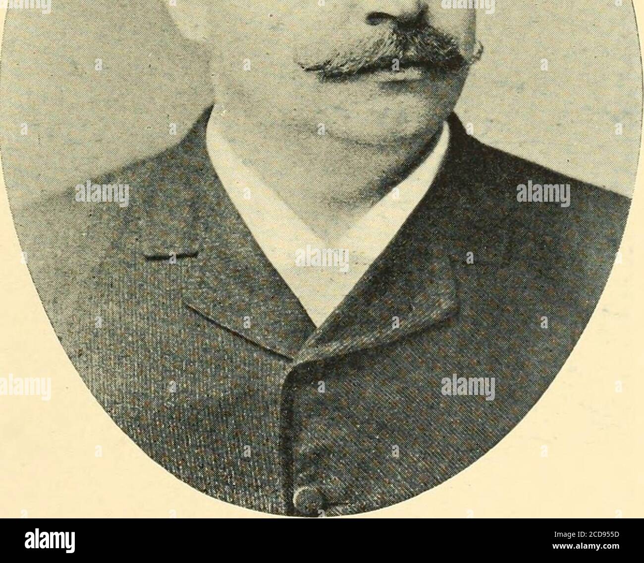 . History of German immigration in the United States and successful