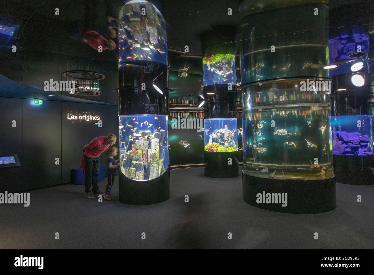 France, Manche, Cherbourg, Cite de la Mer, aquariums Stock Photo Alamy