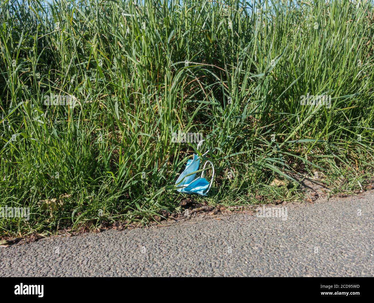 Discarded anti virus mask in grass at road verge May 2020 Stock Photo
