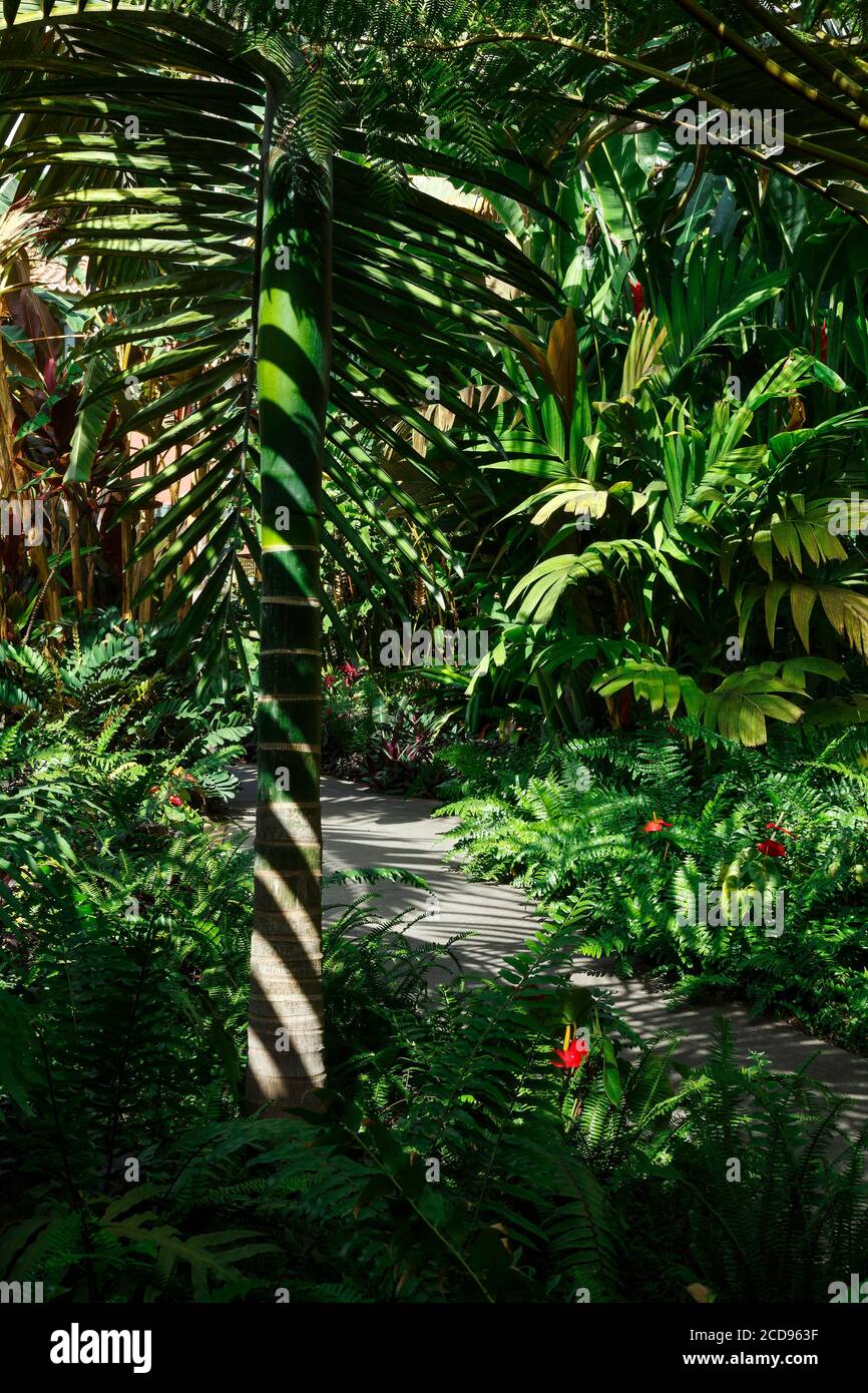 Tropical garden path hi-res stock photography and images - Alamy