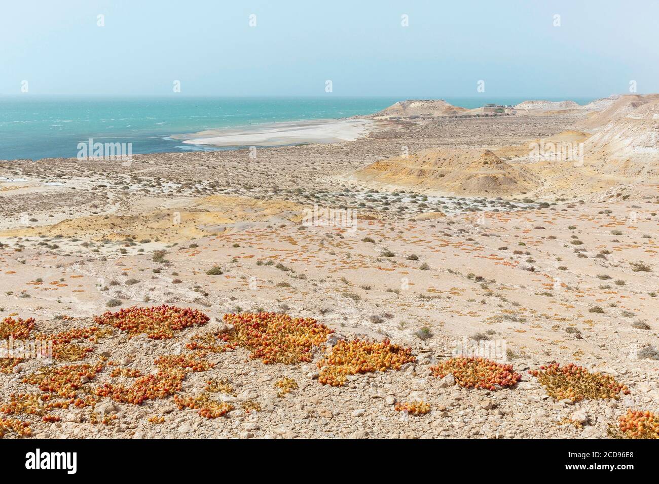 Marocco, Oued Ed-Dahab, Dakhla, view of an eco-lodge in a desert setting by the sea Stock Photo