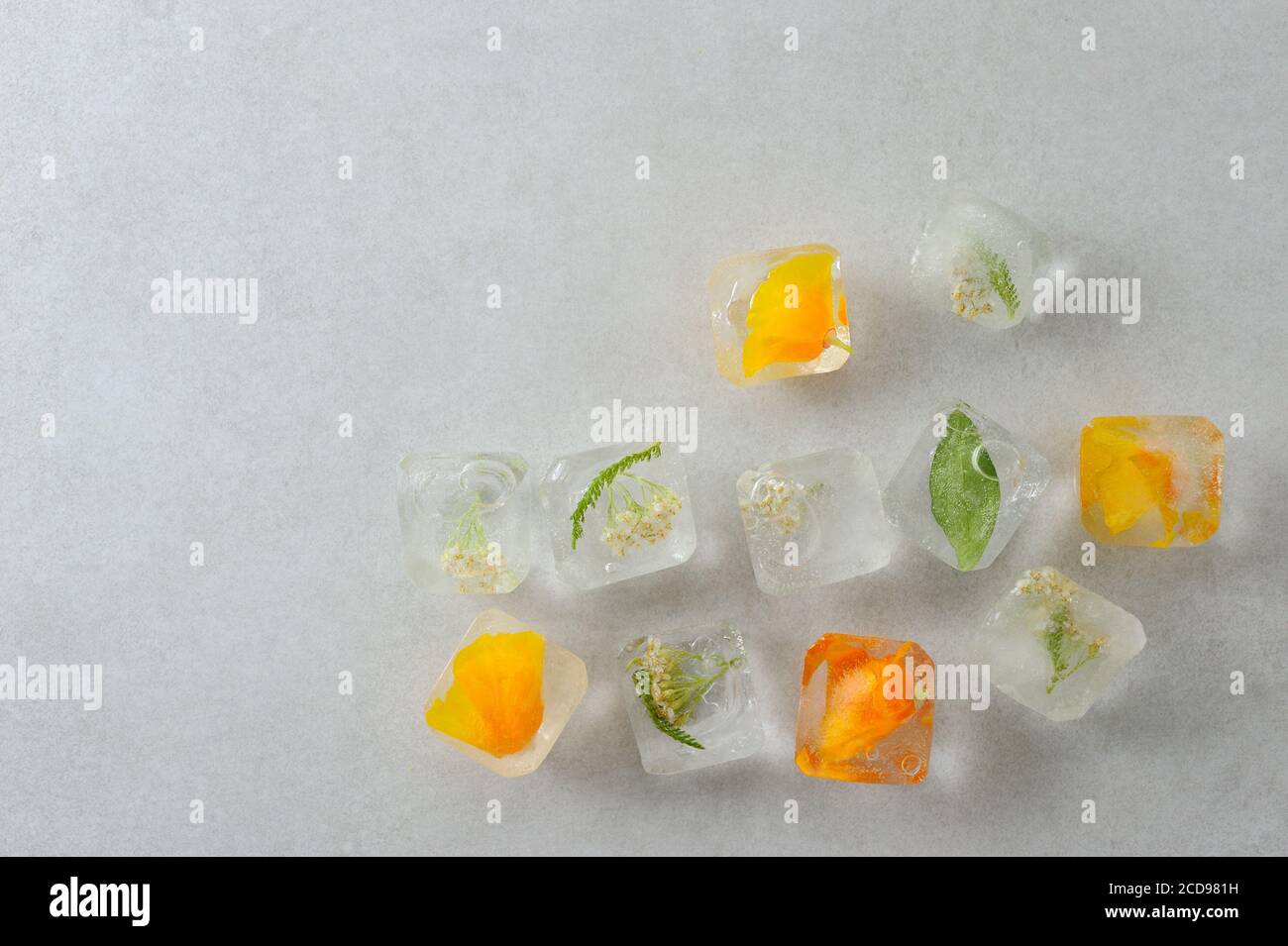 Frozen flowers and herbs ice cubes. Frozen edible flowers background