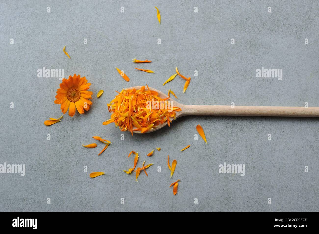 Calendula officinalis flowers and petals preparing for drying. Medicinal herb. Floral background.Image for decoration design. Flat lay,horizontal. Stock Photo