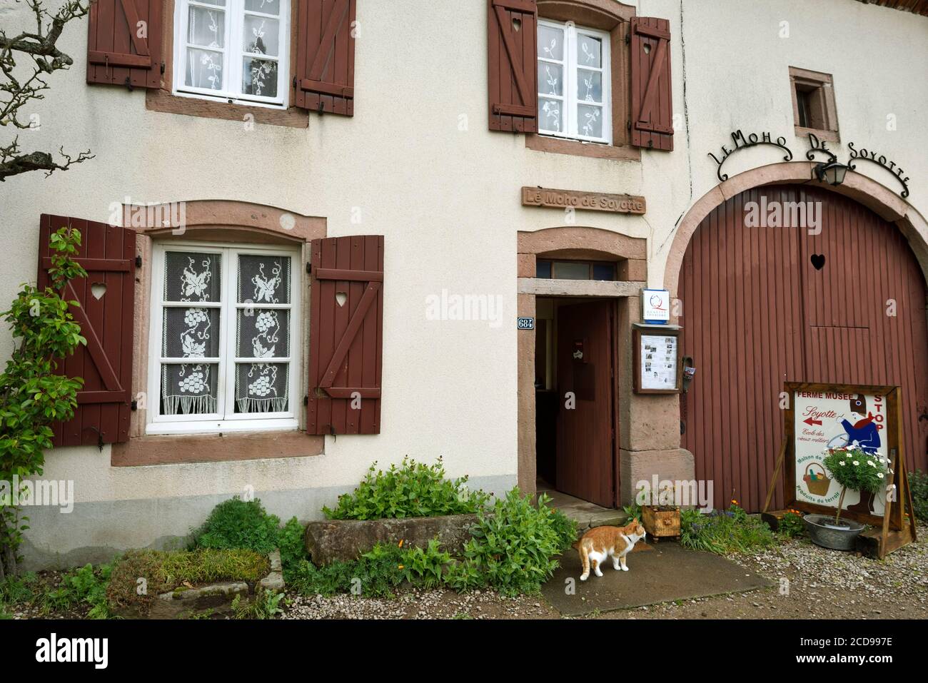 Sainte marguerite vosges hires stock photography and images Alamy