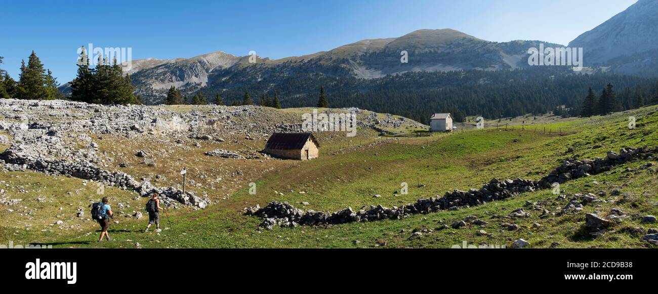 France, Drome, La Chapelle en Vercors, randonnee sur les hauts plateaux du Vercors vers la nouvelle Jasse de la Chau et le pas de la ville Stock Photo