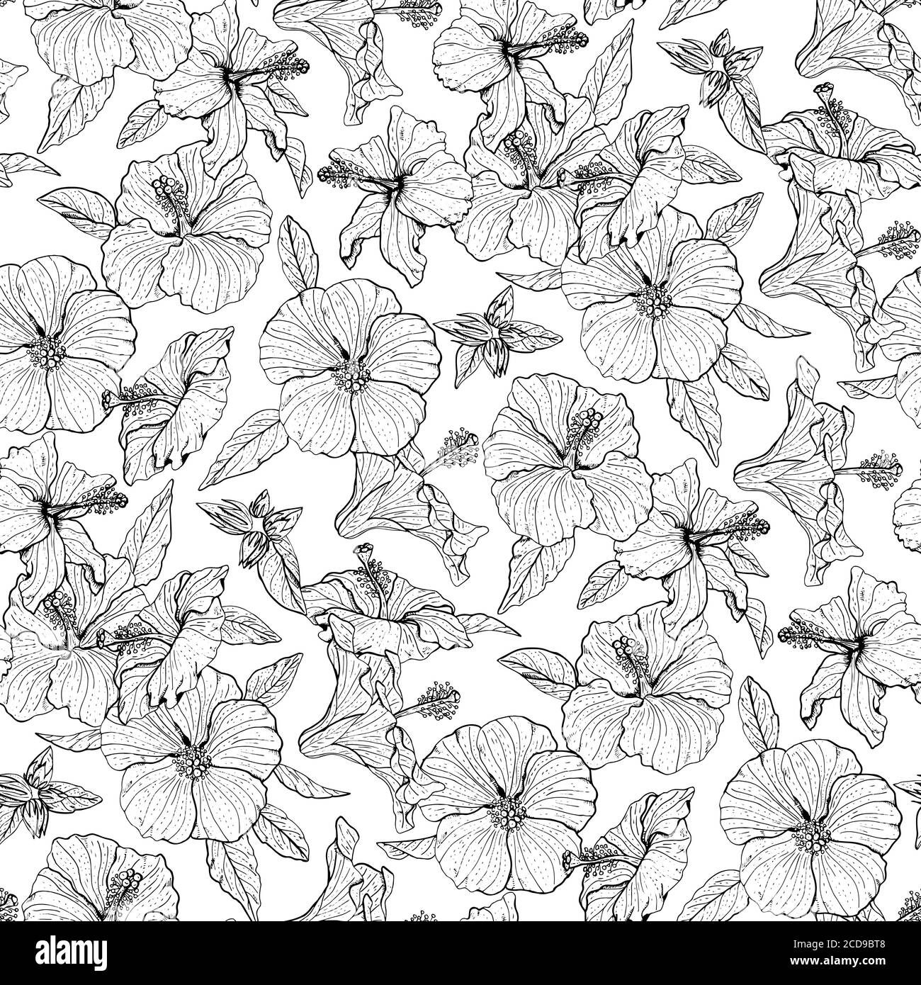 Monochrome floral seamless pattern with hand drawn hibiscus flowers on ...