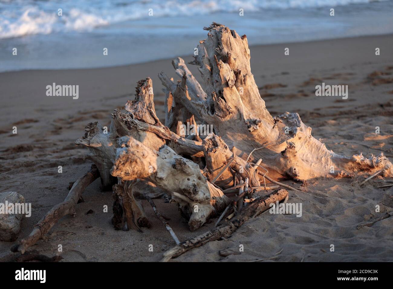 France, Var, Frejus, district of Saint Aygulf, beach of Esclamandes Stock Photo