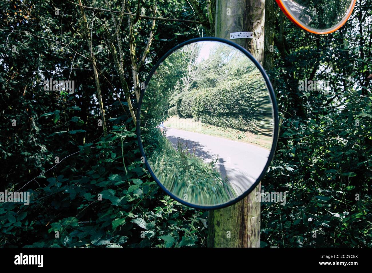 A convex mirror or traffic safety mirror attached to a telegraph pole