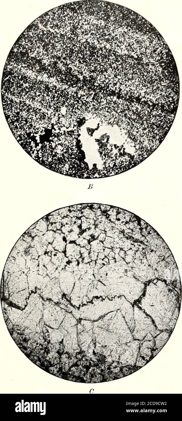 . The fluorspar deposits of southern Illinois . PHOTOMICROGRAPHS OF FLUORSPAR BANDS IN ORE BODY AT LEAD HILL. BAIN.] MINES AND PBOSFECTS. 57 the presence of minute grains and crystals of calcite and quartz. Thebedding may still be made out, but the outlines of the calcite crystalsare completely obscured. The very intimate association of the calciteand fluorite are notable and indicate the entire penetration of the rockby the fluorine. The calcite of the large crystal in the lower portionof the field has been partly replaced by fluorite, the bounding planesbeing evidently determined by the clea Stock Photo