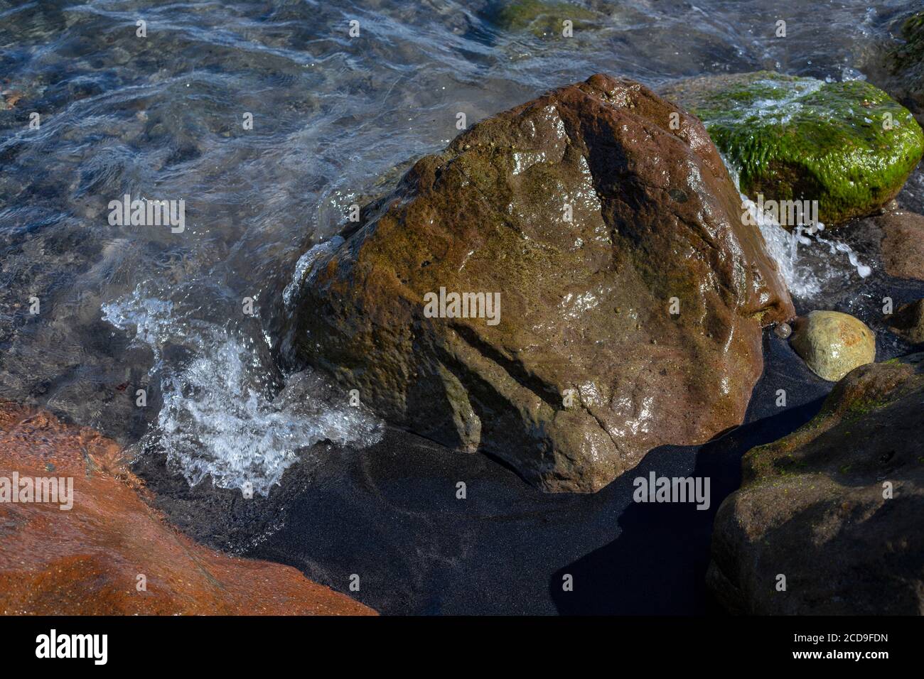 Sea water tide on mossy wet stones and black sand beach. Relaxing natural scene. Marine coast tide foam. Wet rocks on beach closeup. Seaside stone in Stock Photo