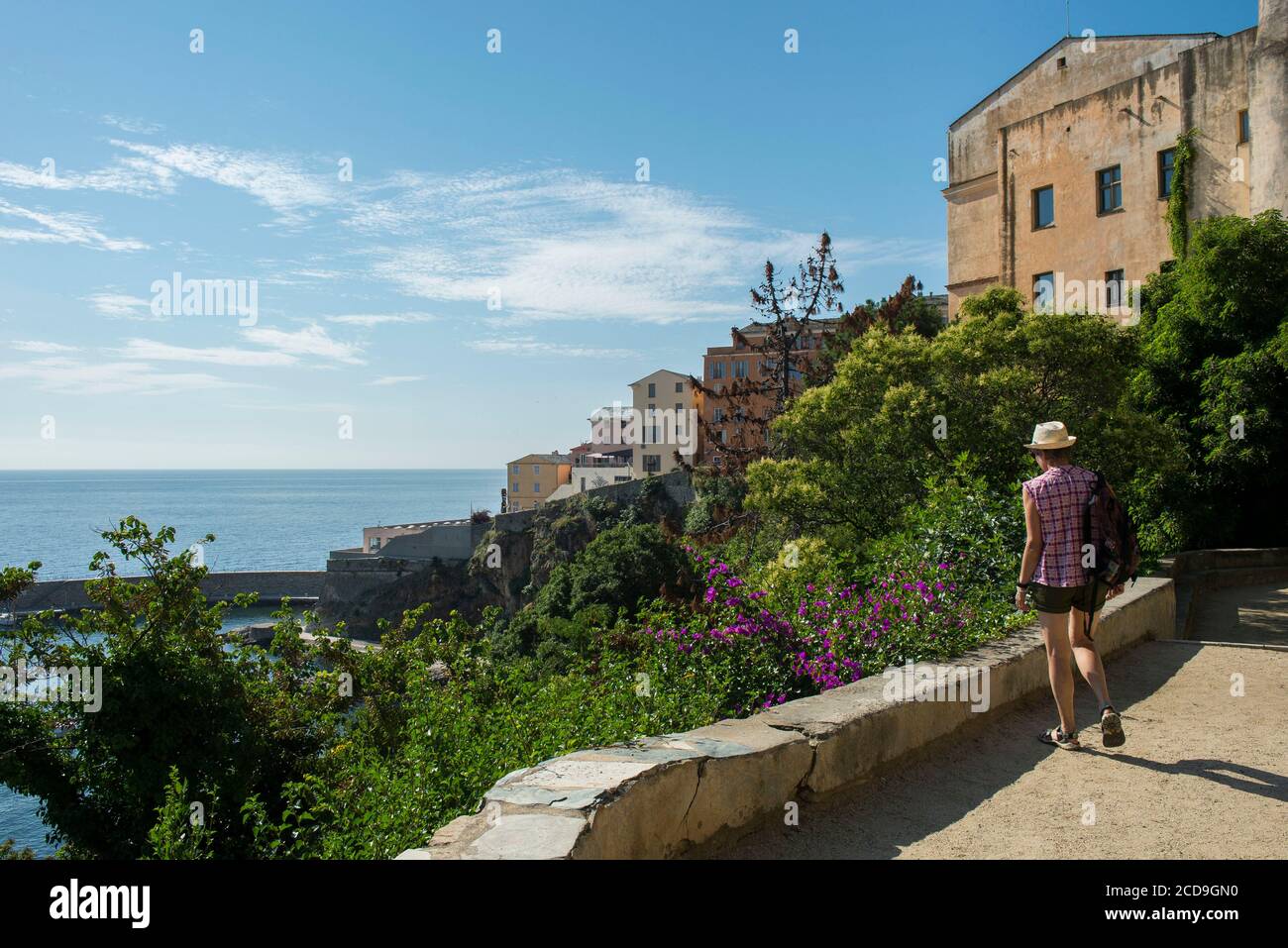 France, Haute Corse, Bastia, the Romieu garden located on the hill of the  citadel overlooks the old port Stock Photo - Alamy