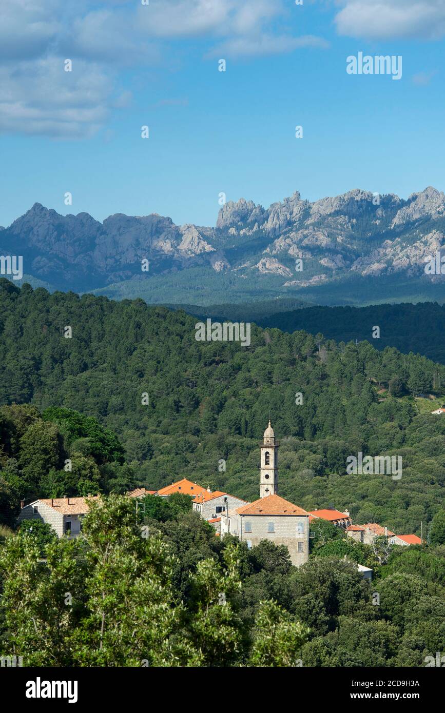 France, Corse du Sud, Alta Rocca, the village of Levie and the saint Laurent church Stock Photo
