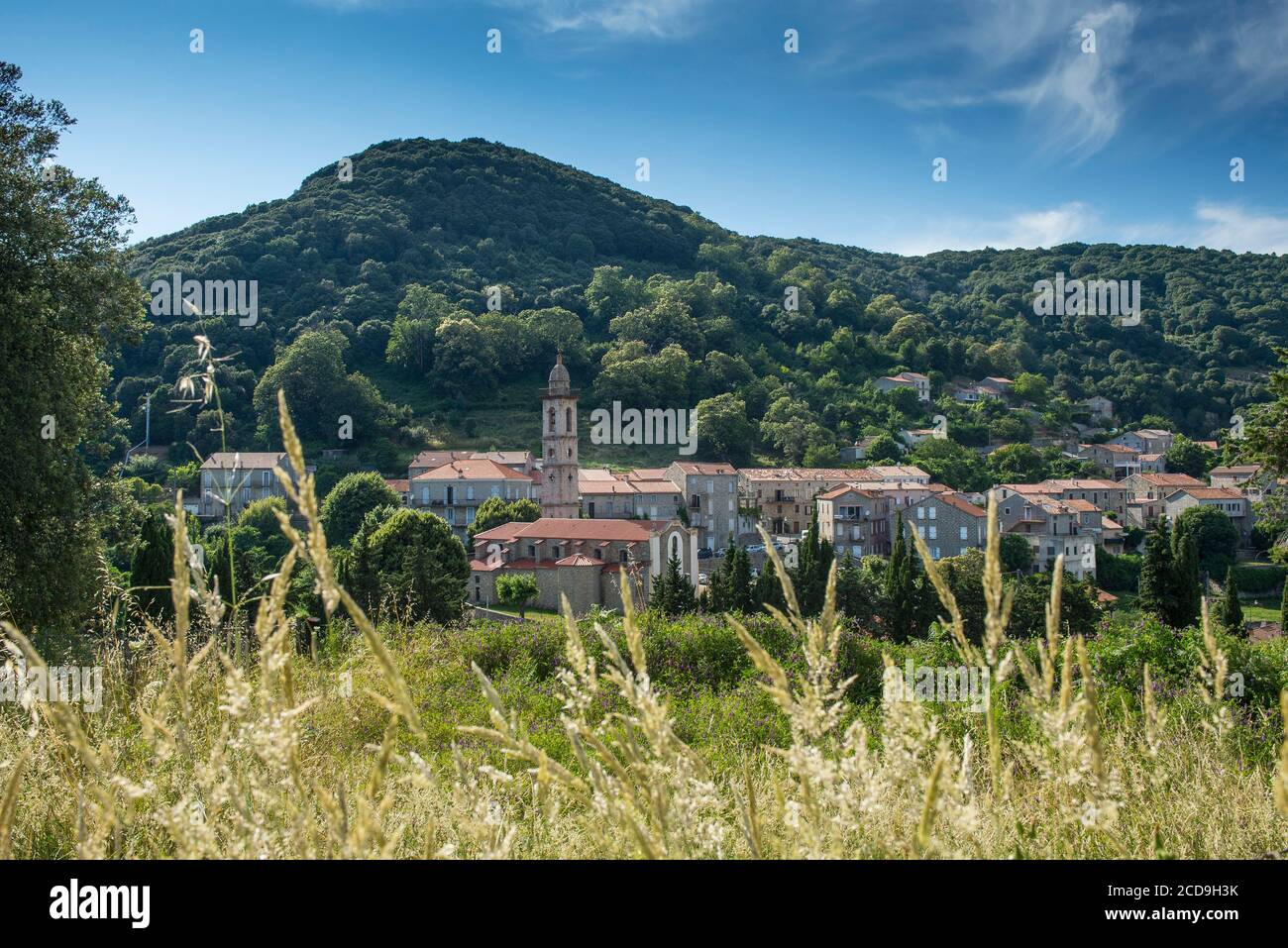 France, Corse du Sud, Alta Rocca, the village of Levie and the saint Laurent church Stock Photo