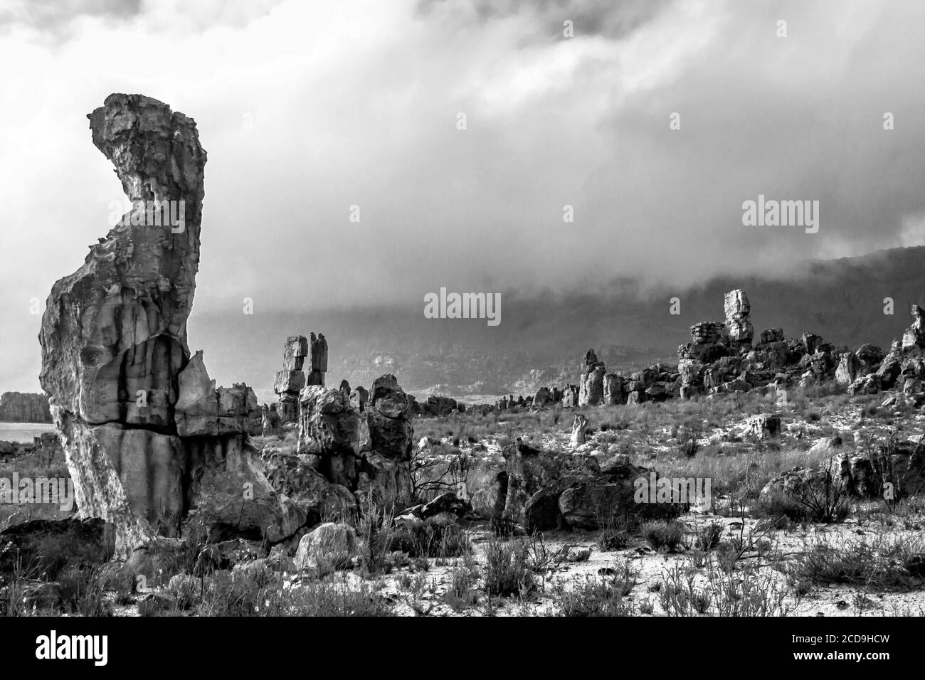 Sandstone Pillars eroded into strange shapes at the Window Rock Trail in the Cederberg Mountains in the Western Cape, South Africa, in monochrome Stock Photo