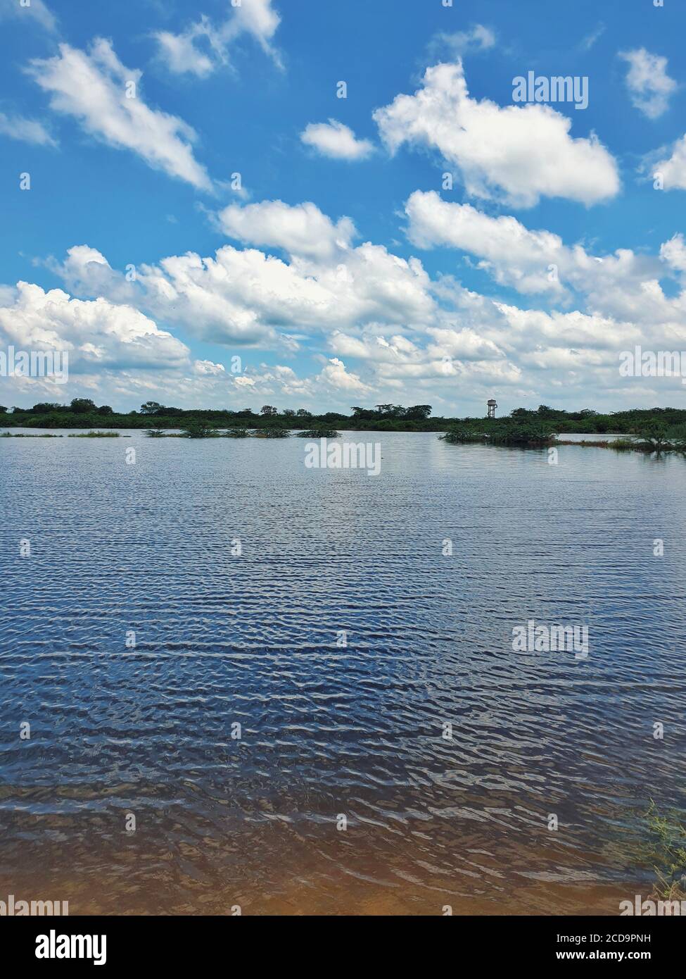 Vertical shot bright blue hi-res stock photography and images - Alamy