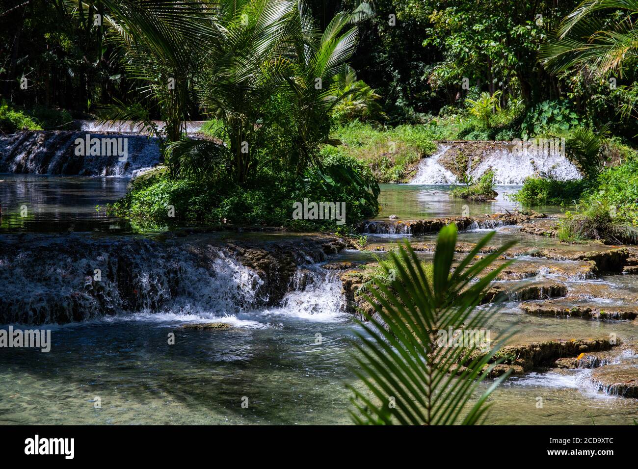 Fresh water river and tropical plants. Tropical nature landscape with waterfall river and forest. Jungle lake with waterfall. Freshwater river raft. R Stock Photo