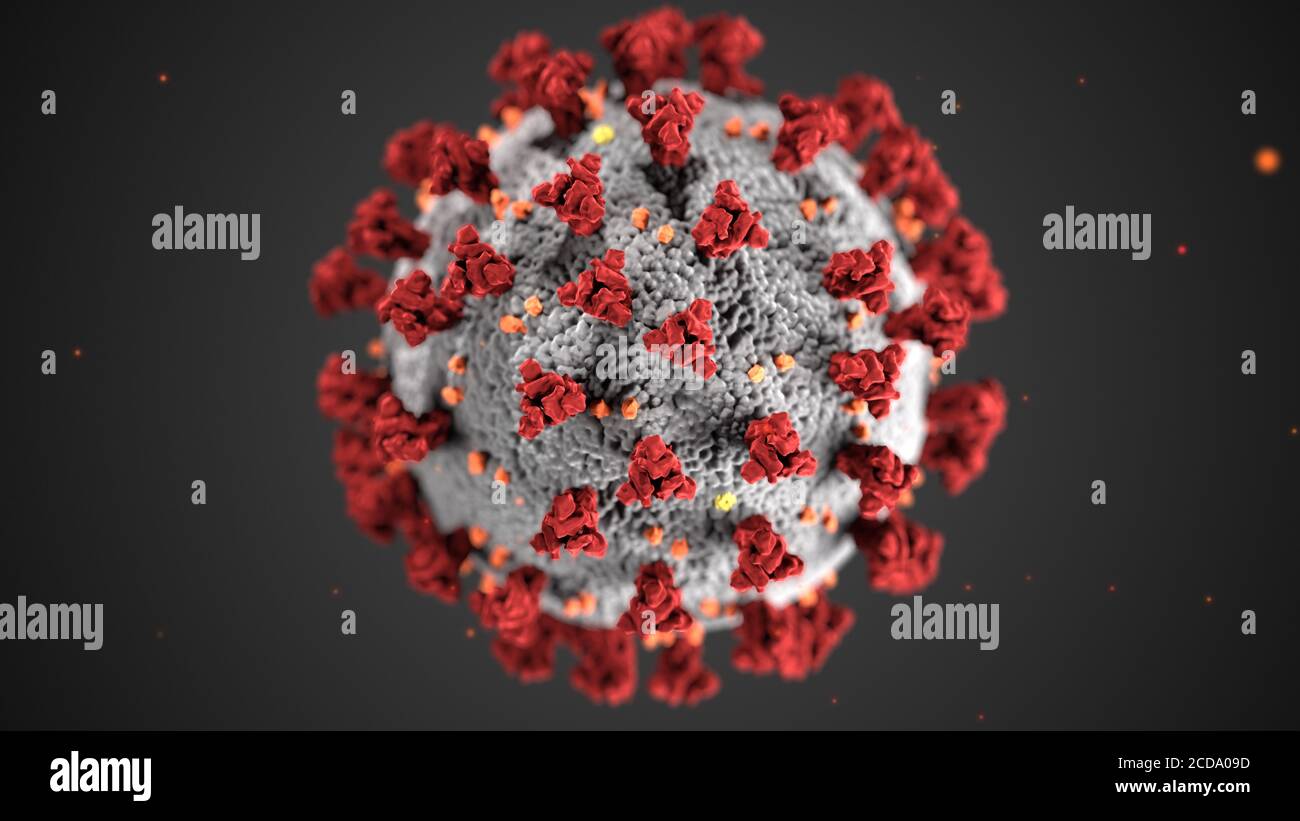 This illustration, created at the Centers for Disease Control and Prevention (CDC), reveals ultrastructural morphology exhibited by coronaviruses, 2020. A novel coronavirus, named Severe Acute Respiratory Syndrome coronavirus 2 (SARS-CoV-2), was identified as the cause of an outbreak of respiratory illness first detected in Wuhan, China in 2019. The illness caused by this virus has been named coronavirus disease 2019 (COVID-19). Credit: CDC/Alissa Eckert, MSMI, Dan Higgins, MAMS. Stock Photo