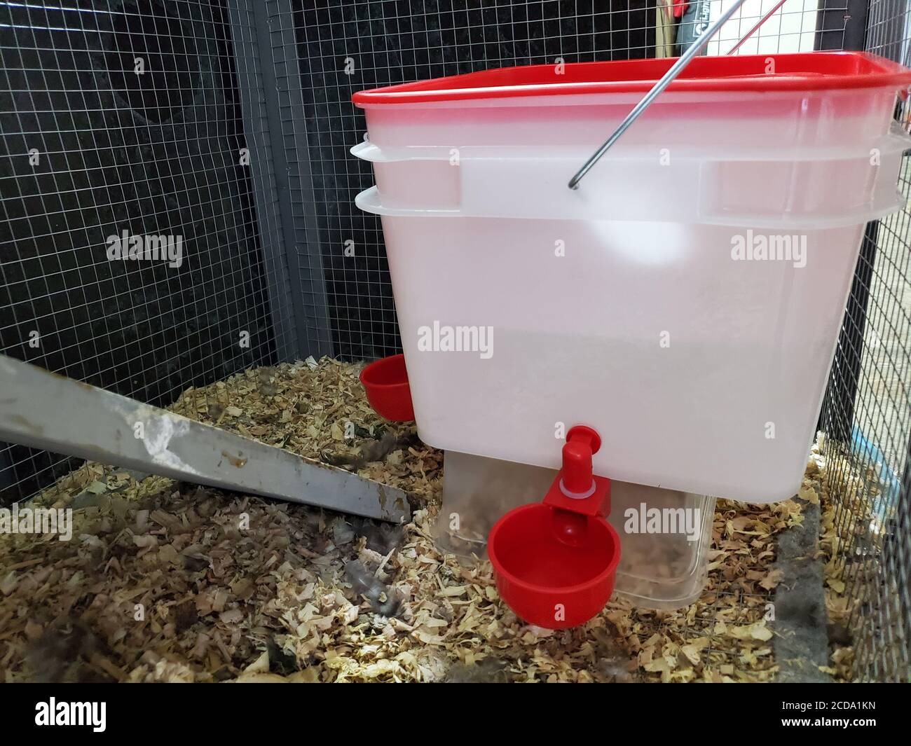 Coop brand chicken water dispenser hires stock photography and images