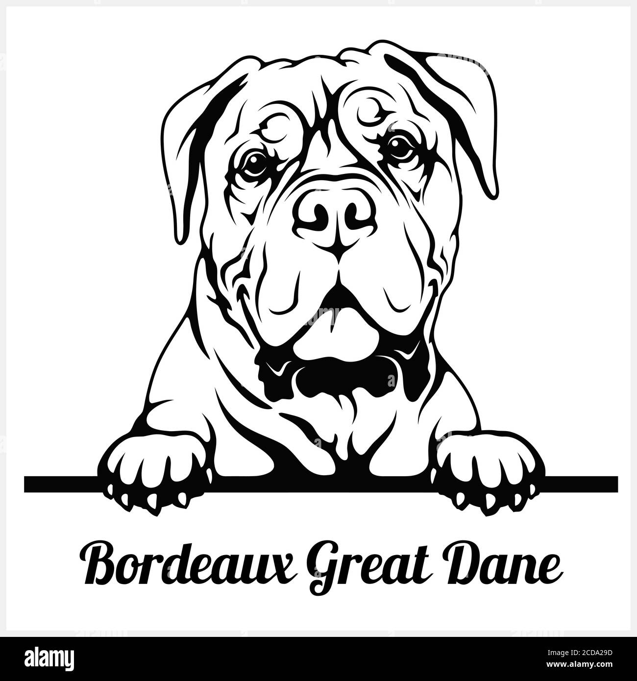 Bordeaux Great Dane - Peeking Dogs - breed face head isolated on white Stock Vector