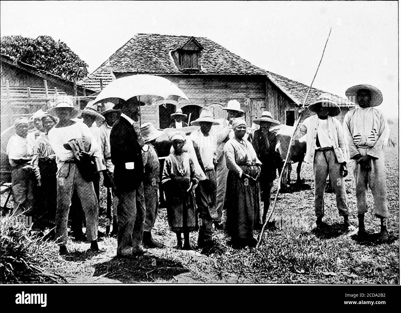 . Life and adventure in the West Indies; a sequel to Adventures in search of a living in Spanish-America . Weeding among the Young Cane, near Robert (Eastern Coast).. Manager and Plantation Hands on Sugarcane Estate near Lamentin. IN MARTINIQUE I49 unfit for human habitation, and the undertaking was probably beingcarried on by those who owned land here, in the hope of being ableto turn their deserted property to better account. We now arrrivedat the somewhat roughly-built hotel, which appeared like an oasis inthe midst of desolation, where I managed to obtain a very inferiormeal, together with Stock Photo