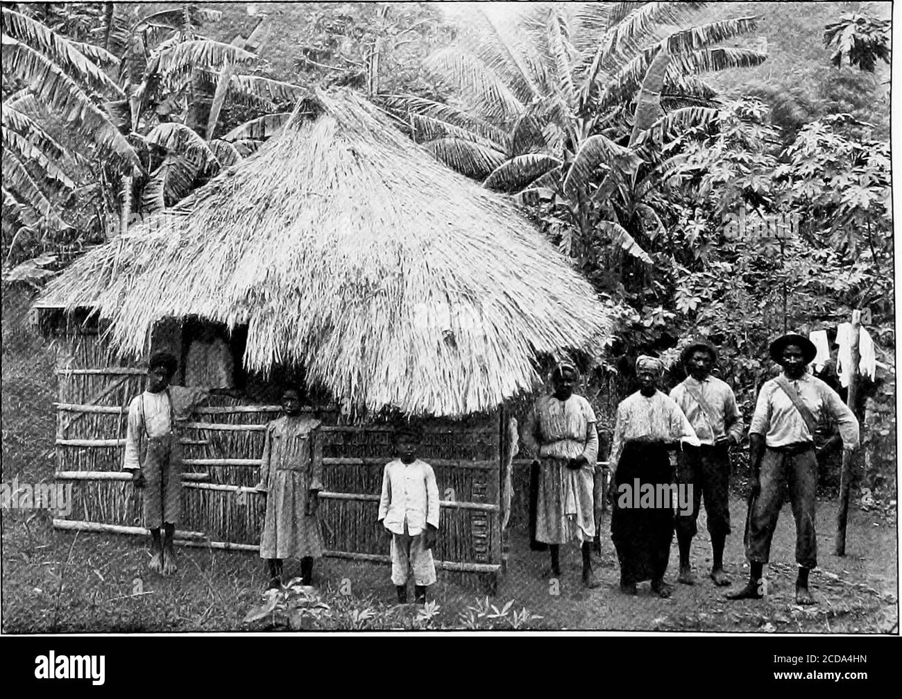 Life And Adventure In The West Indies A Sequel To Adventures In Search Of A Living In Spanish America Roman Catholic Cathedral At The Corner Of La Place Mrs Griffiths Cottage