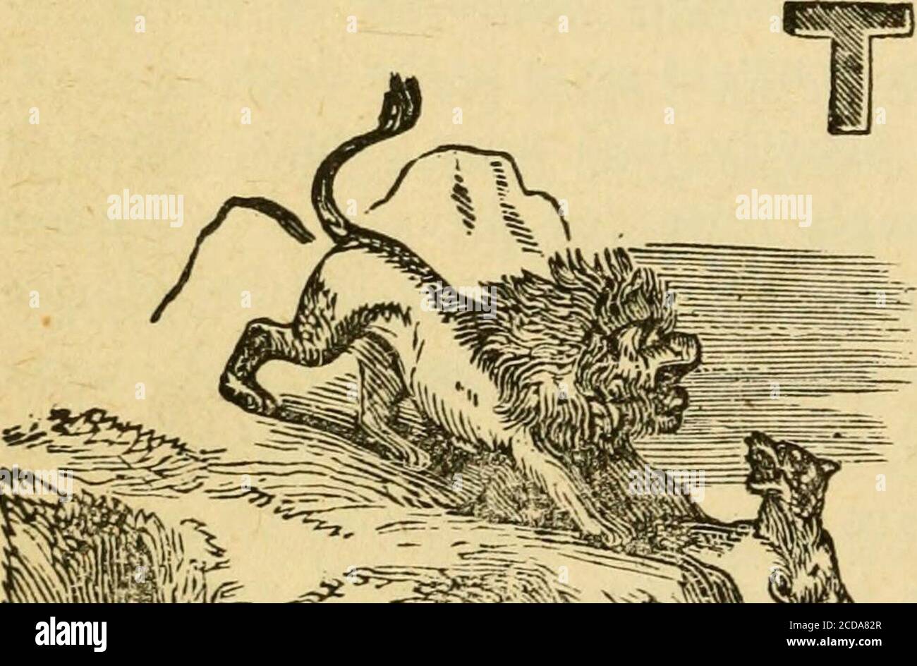. Wild scenes of a hunter's life; . CHAPTER XXXIII.. A FRENCH OFFICER HUNTING LIONESSES. HE following narrative jsfrom the French Journaldes Chasseurs, to which itwas contributed by Mr.Jules Gerard, as a remi-niscence of his service inAlgeria:.wviriL-»ir^ -^^^5-x-^=-^- —:-j.-^ fv-r^ I knew cf a lar^e old M.„.i.«x..i ^ &lt;^ ^.^^v^x.^..-.^ ^?c-^^s^L^s, hon m the Smauls coun-try and betook myself in that direction. On arriving I heard thathe was in the Bonarif, near Batnah. My te... -^  not yet pitchedat the foot of the mountain, when I learned that . -vs at theFed Jong, where, on my arrival, Stock Photo